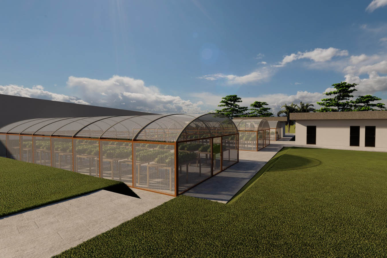 IDR-Paraná terá em Londrina horto de plantas medicinais, aromáticas e condimentares